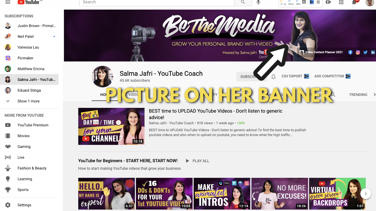 Salma Jaffri's Youtube channel art example 1