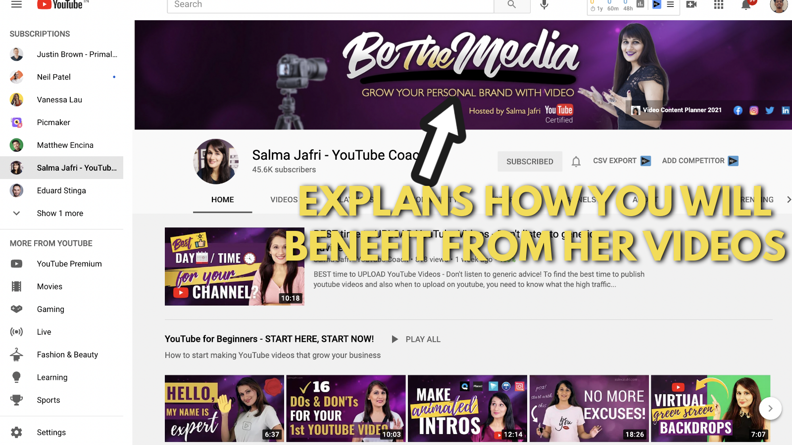 A screenshot of Salma Jaffri's Youtube banner example 2 