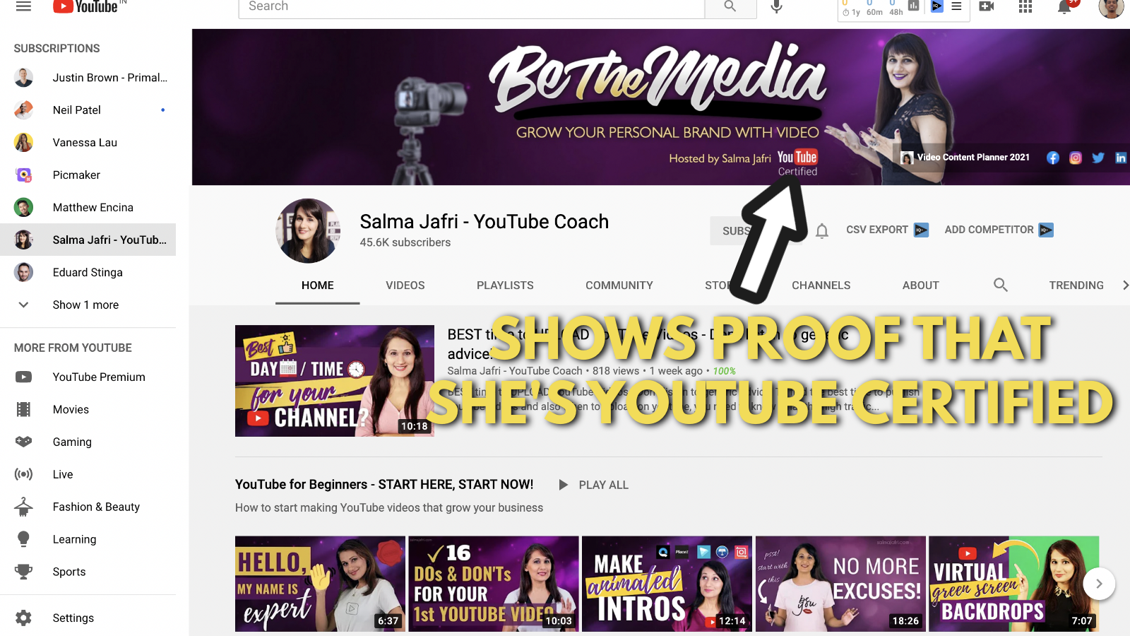 A screenshot of Salma Jaffri's Youtube channel art example 3