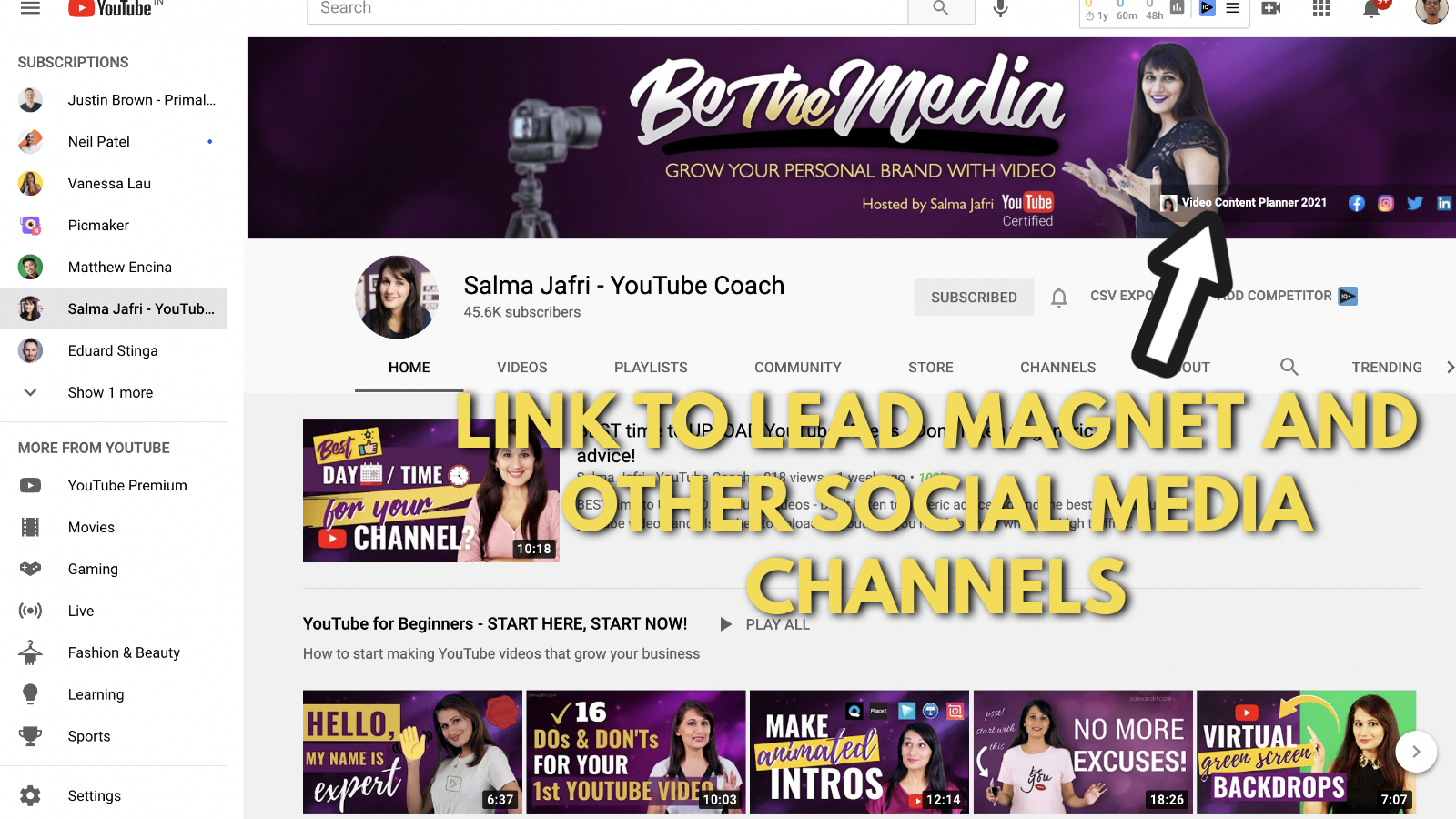 A screenshot of Salma Jaffri's Youtube banner example 4