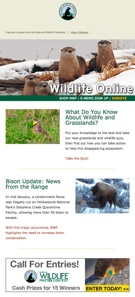 National wildlife federation educative newsletter