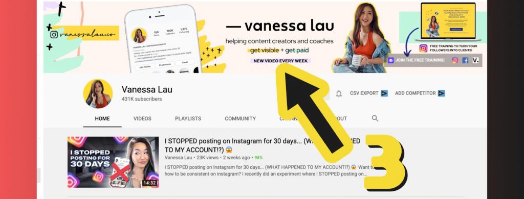 Screenshot of Vanessa's YouTube channel example 4