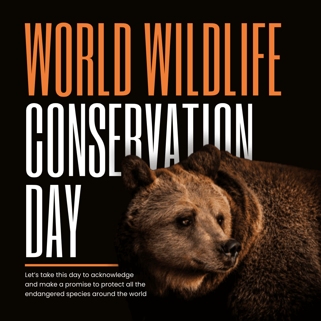 modern-world-wildlife-conservation-day-instagram-post-template-thumbnail-img