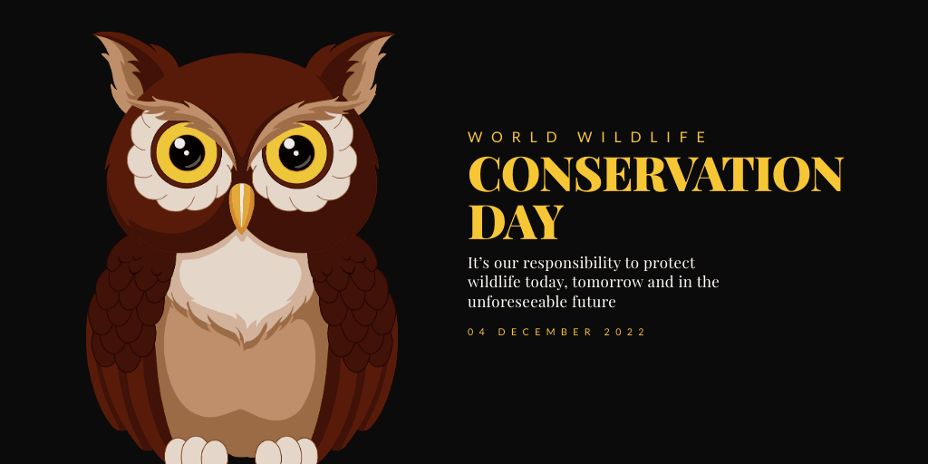 owl-themed-wildlife-conservation-day-twitter-post-template-thumbnail-img