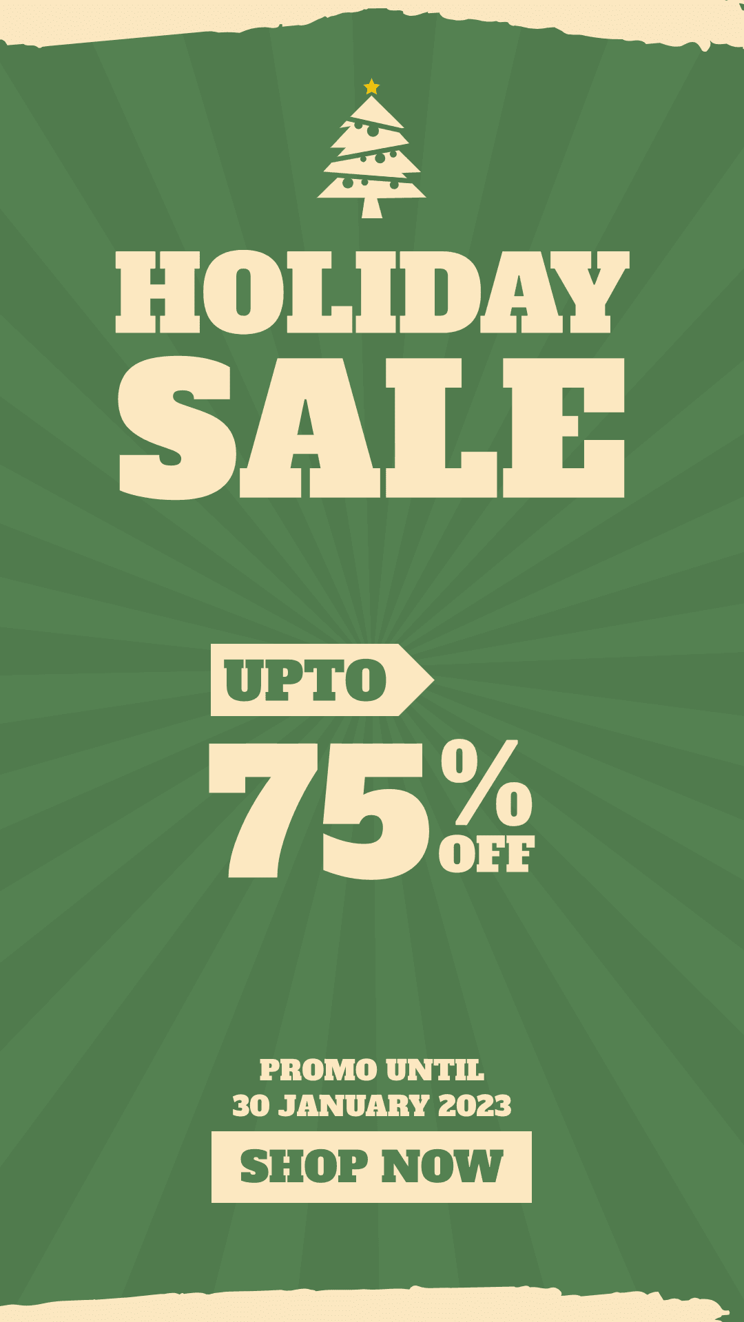 green-background-holiday-sale-shop-now-instagram-story-template-thumbnail-img