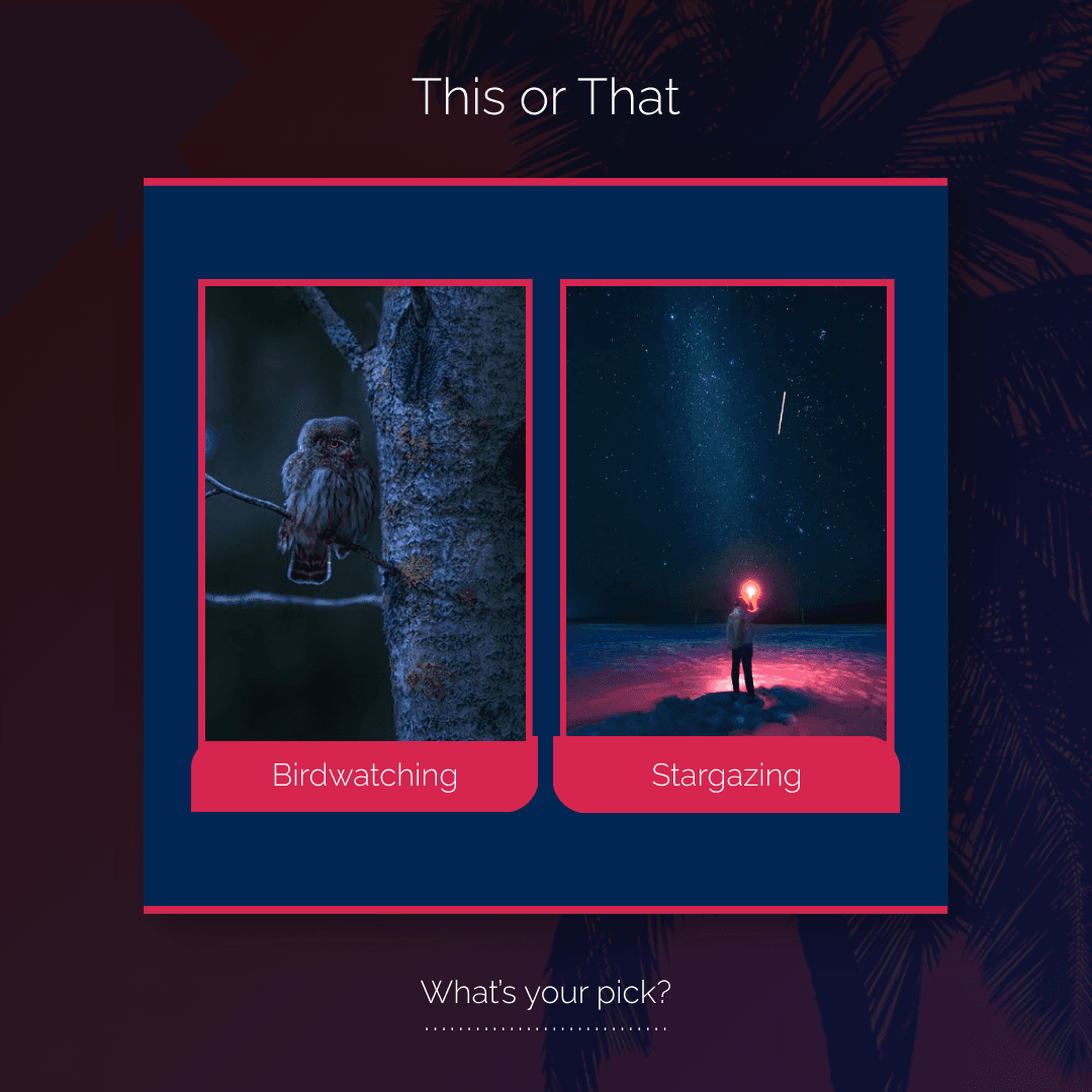 birdwatching-vs-stargazing-this-or-that-instagram-post-thumbnail-img