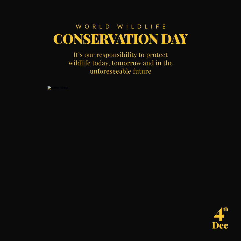 owl-themed-wildlife-conservation-day-linkedin-post-template-thumbnail-img