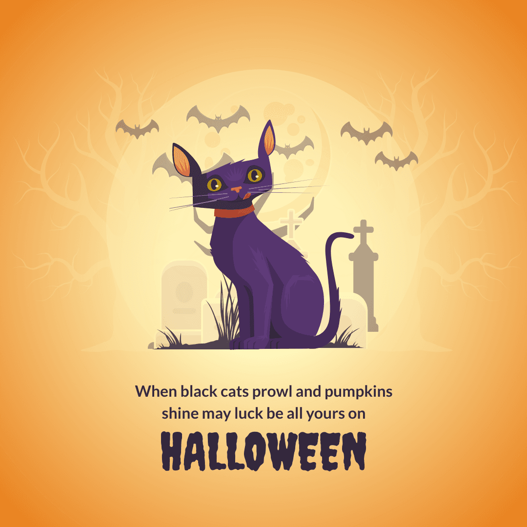 orange-background-purple-cat-halloween-instagram-post-template-thumbnail-img