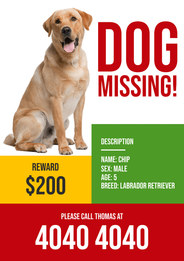 white-background-labrador-retriever-missing-flyer-template-thumbnail-img