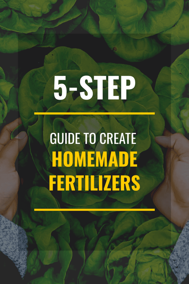 green-cabbages-guide-to-create-homemade-fertilizer-blog-banner-graphics-thumbnail-img