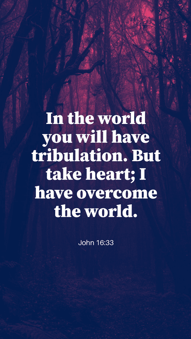 forest-background-bible-verse-instagram-story-template-thumbnail-img