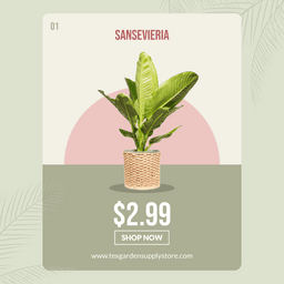 9b39b428-9f5b-4d0a-a7ef-648da4c86801-2-thumbnail-img