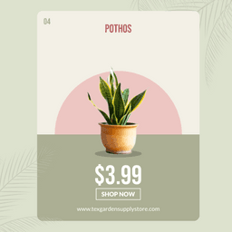 9b39b428-9f5b-4d0a-a7ef-648da4c86801-5-thumbnail-img