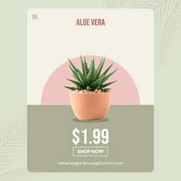 9b39b428-9f5b-4d0a-a7ef-648da4c86801-6-thumbnail-img