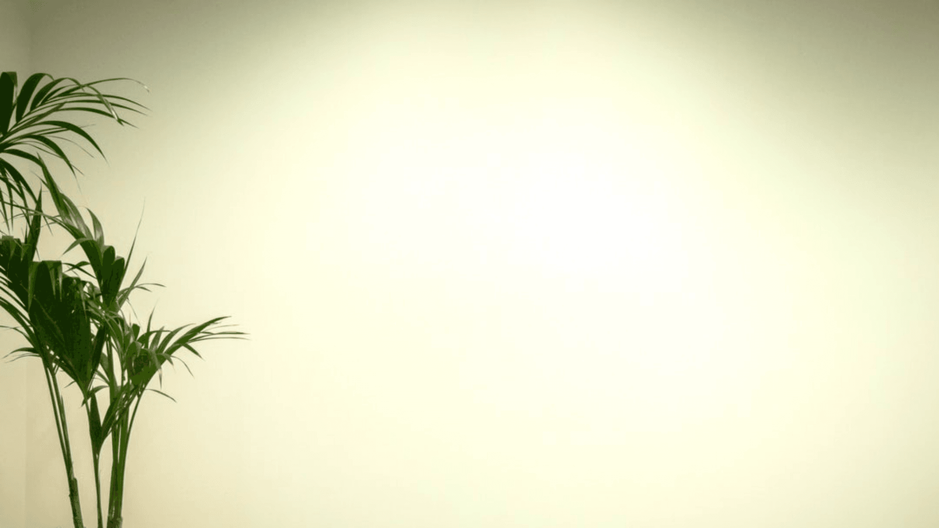 Simple Green Leaf Illustrated Zoom Virtual Background Template