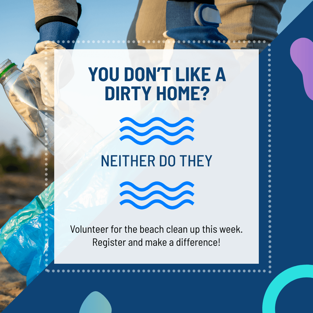 man-collecting-plastic-bottles-neither-do-they-instagram-post-template-thumbnail-img
