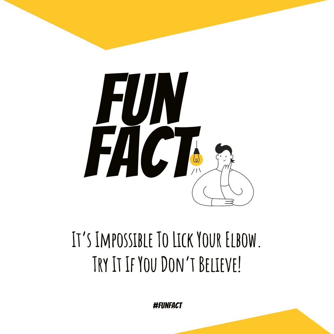yellow-and-white-illustrated-fun-fact-instagram-post-thumbnail-img