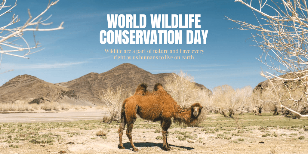 world-wildlife-conservation-day-twitter-post-template-thumbnail-img