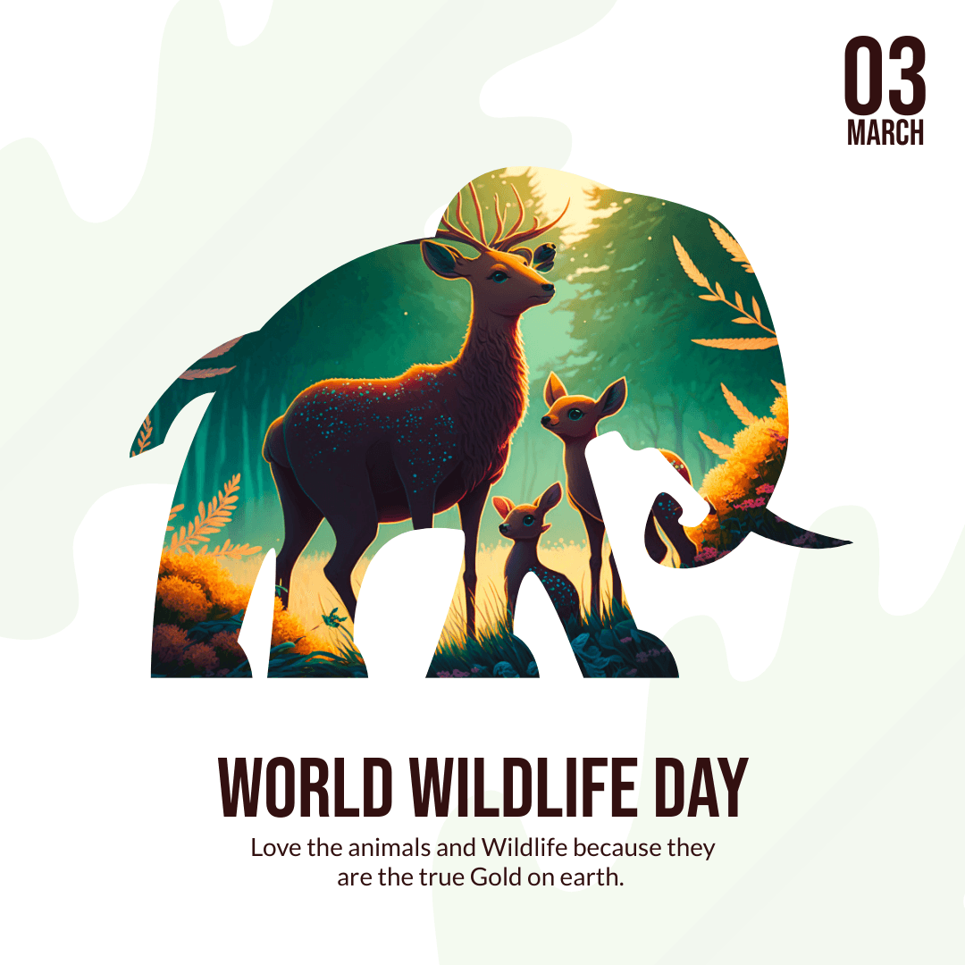 creative-world-wildlife-day-instagram-post-template-thumbnail-img
