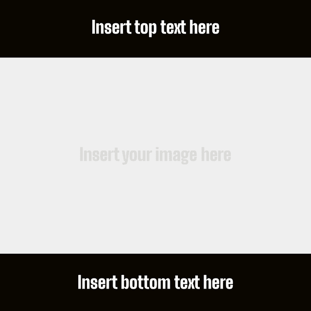 Simple White and Black Top Text Bottom Text Meme Template
