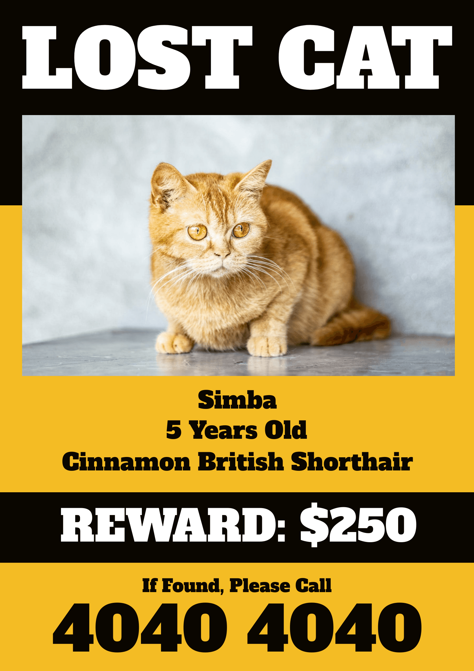 cinnamon-british-shorthair-lost-hair-poster-template-thumbnail-img