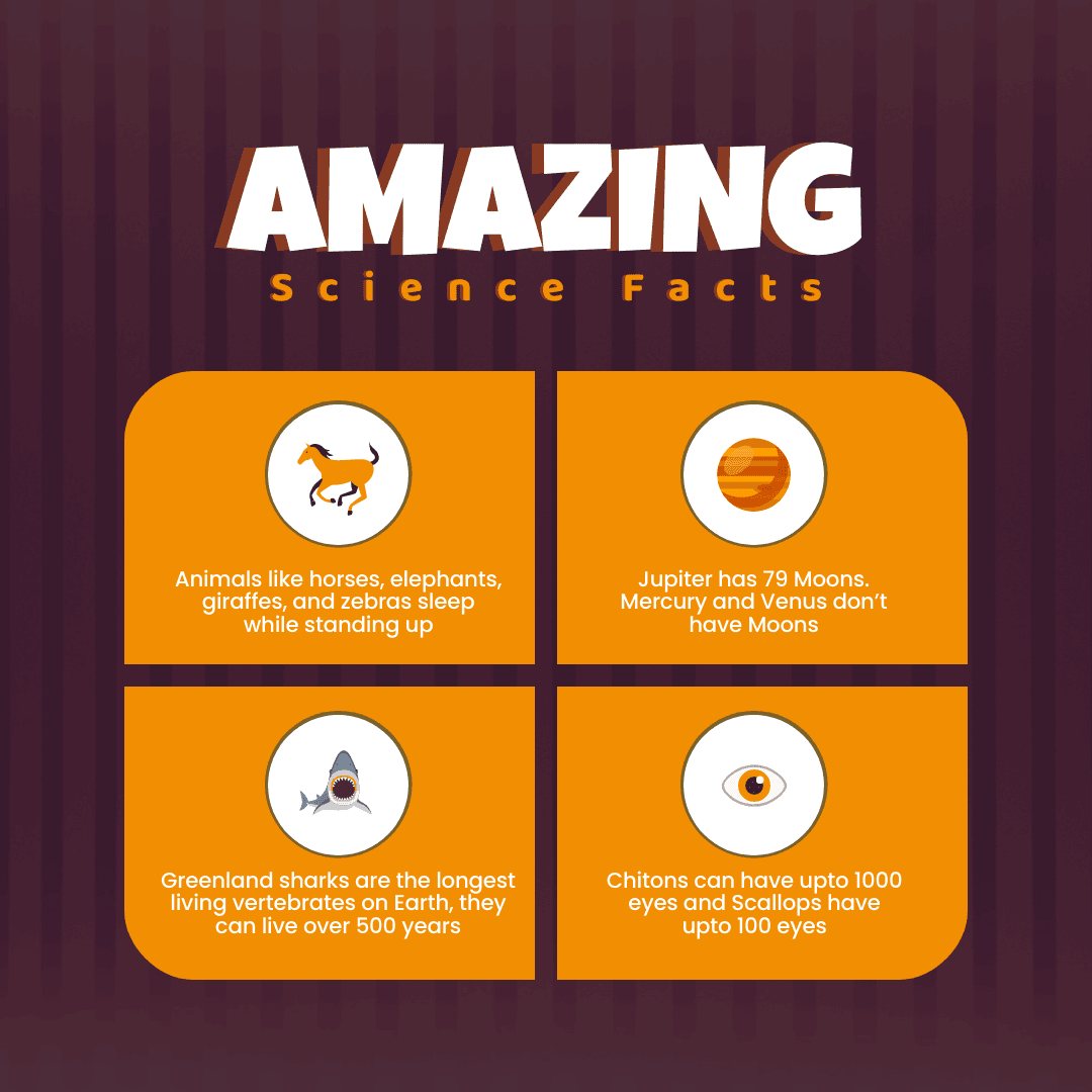 amazing-science-facts-instagram-post-template-thumbnail-img