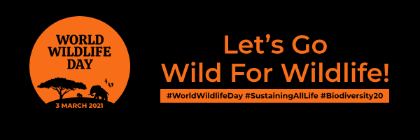 black-and-orange-happy-world-wildlife-day-email-header-thumbnail-img