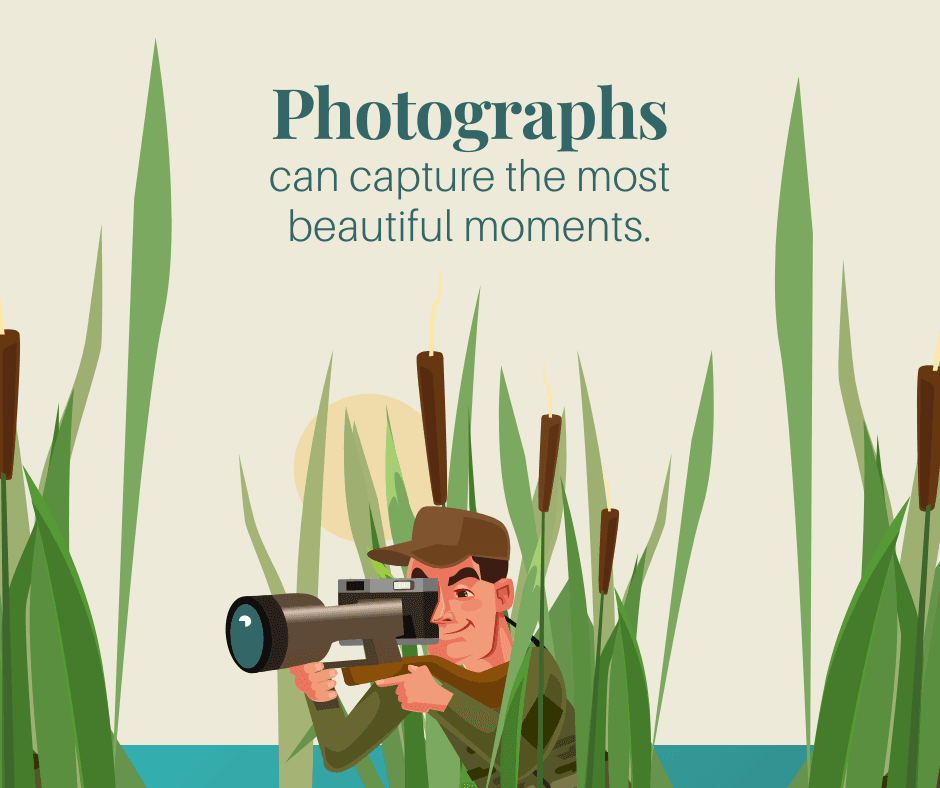 grass-themed-national-photography-day-facebook-post-template-thumbnail-img