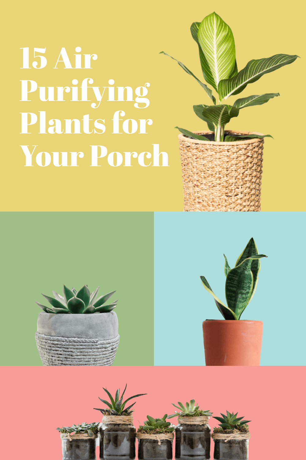 air-purifying-plants-pinterest-pin-template-thumbnail-img