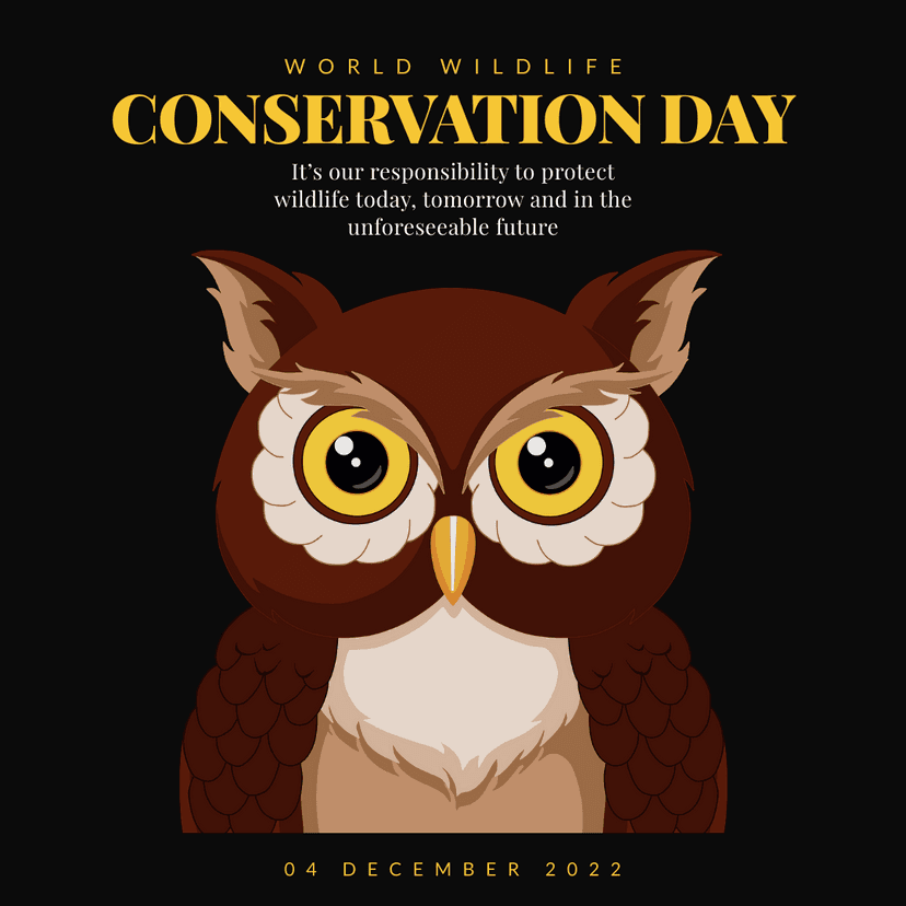 owl-themed-wildlife-conservation-day-instagram-post-template-thumbnail-img