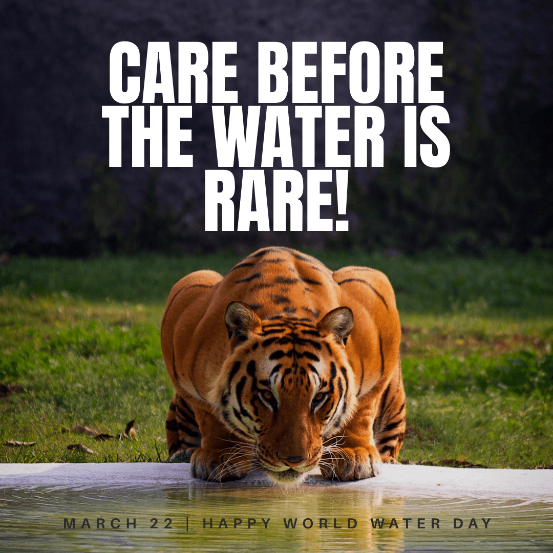 tiger-illustrated-world-water-day-instagram-post-template-thumbnail-img