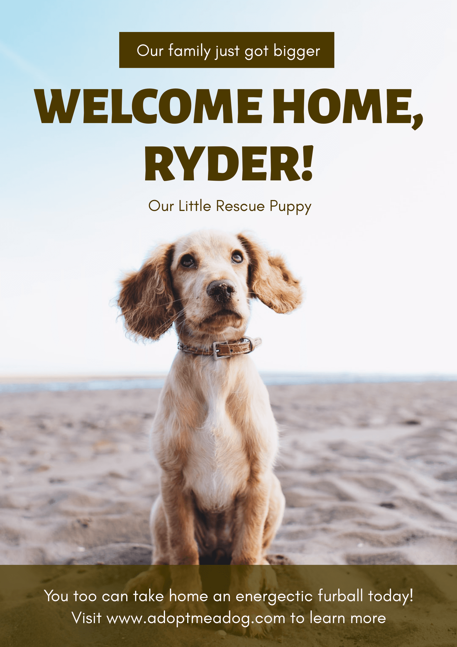 puppy-on-the-beach-welcome-home-poster-template-thumbnail-img