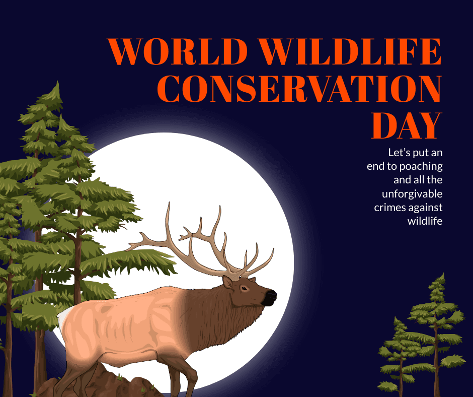 forest-themed-wildlife-conservation-day-facebook-post-template-thumbnail-img