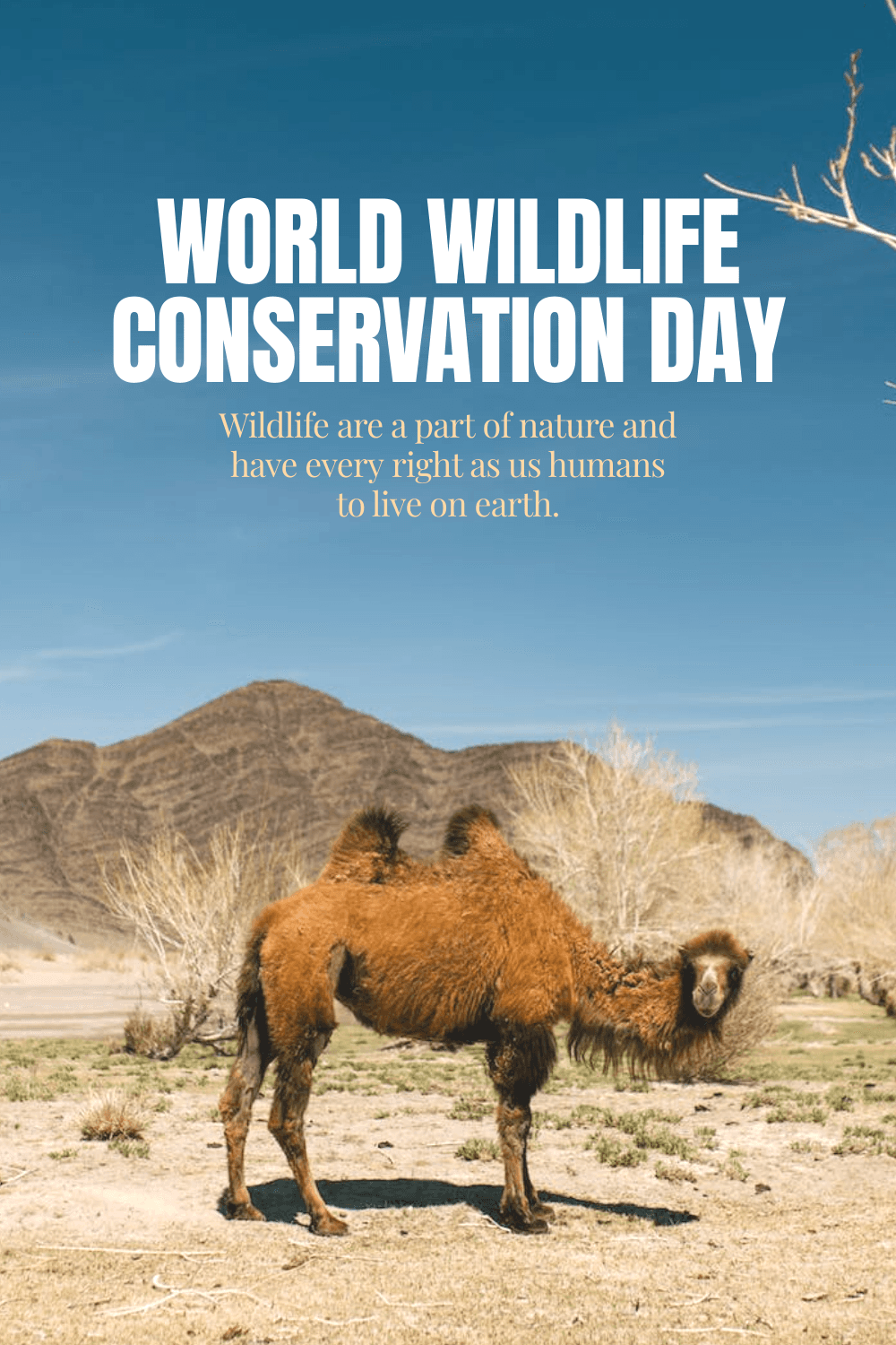 world-wildlife-conservation-day-pinterest-pin-template-thumbnail-img