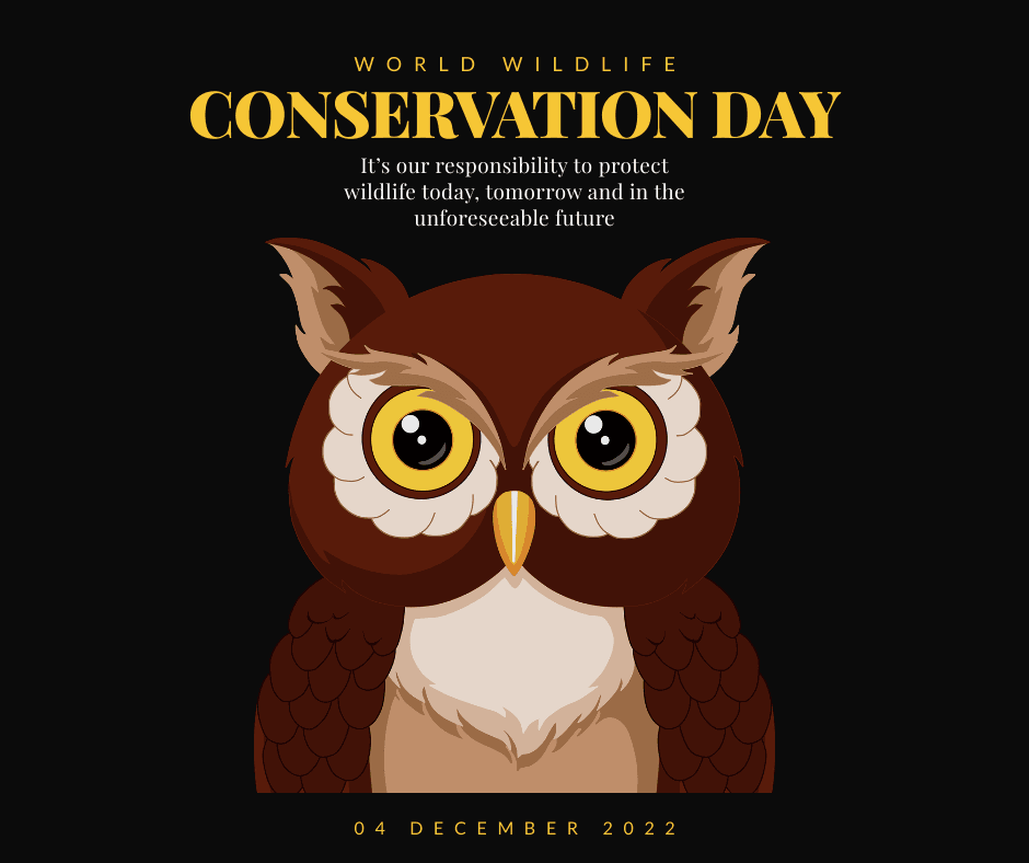 owl-themed-wildlife-conservation-day-facebook-post-template-thumbnail-img