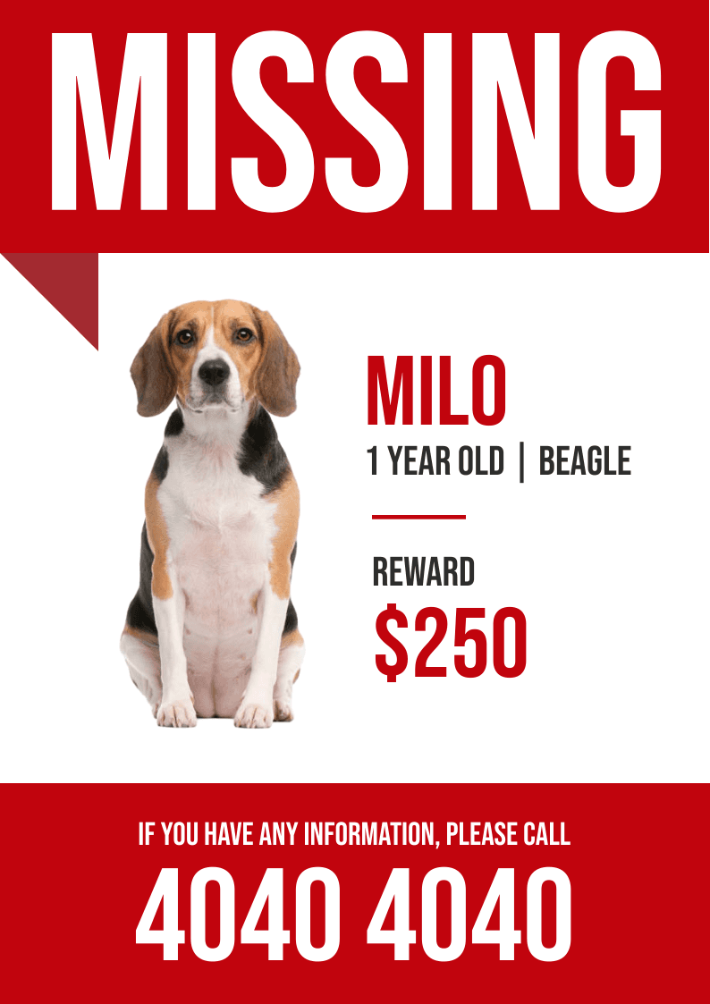 red-and-white-beagle-dog-missing-flyer-template-thumbnail-img