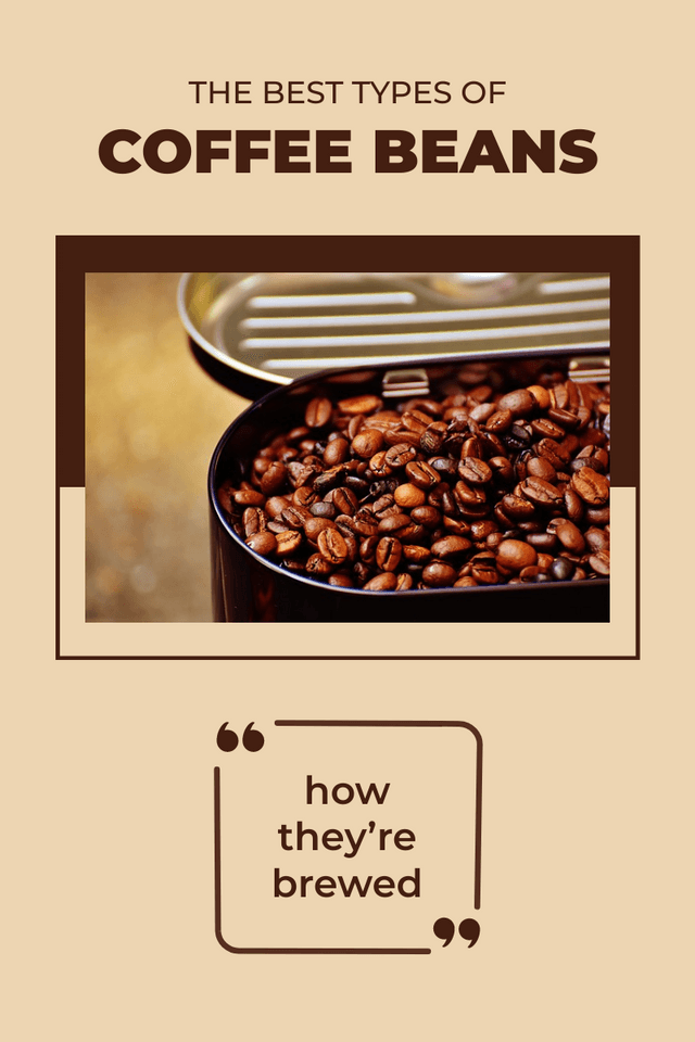 roasted-coffee-beans-in-a-tin-the-best-typess-of-coffee-beans-blog-banner-graphics-thumbnail-img