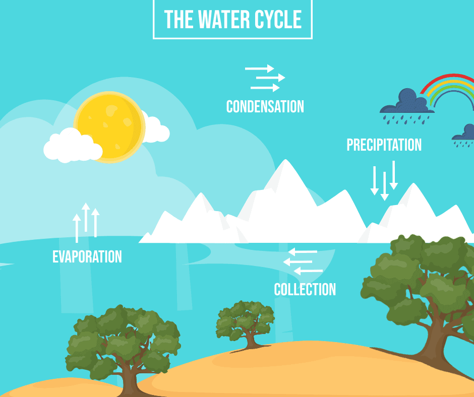 water-cycle-facebook-post-template-thumbnail-img