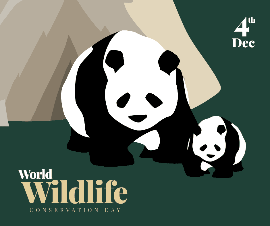 panda-illustrated-wildlife-conservation-day-facebook-post-template-thumbnail-img