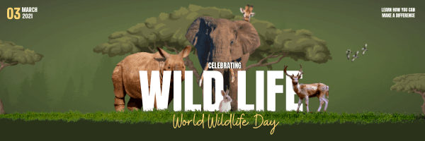 wild-animal-and-forest-background-world-wildife-day-email-header-thumbnail-img
