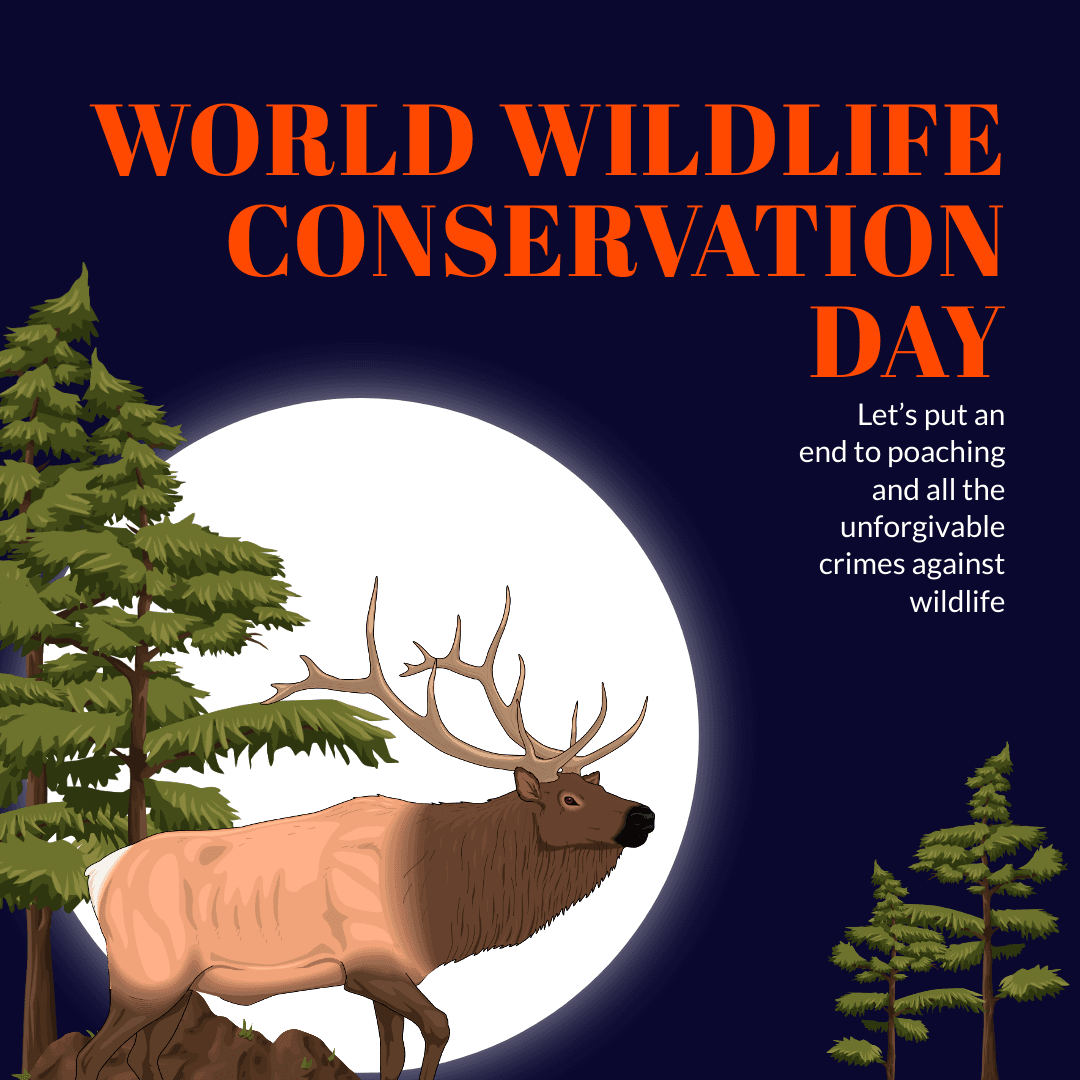 forest-themed-wildlife-conservation-day-instagram-post-template-thumbnail-img