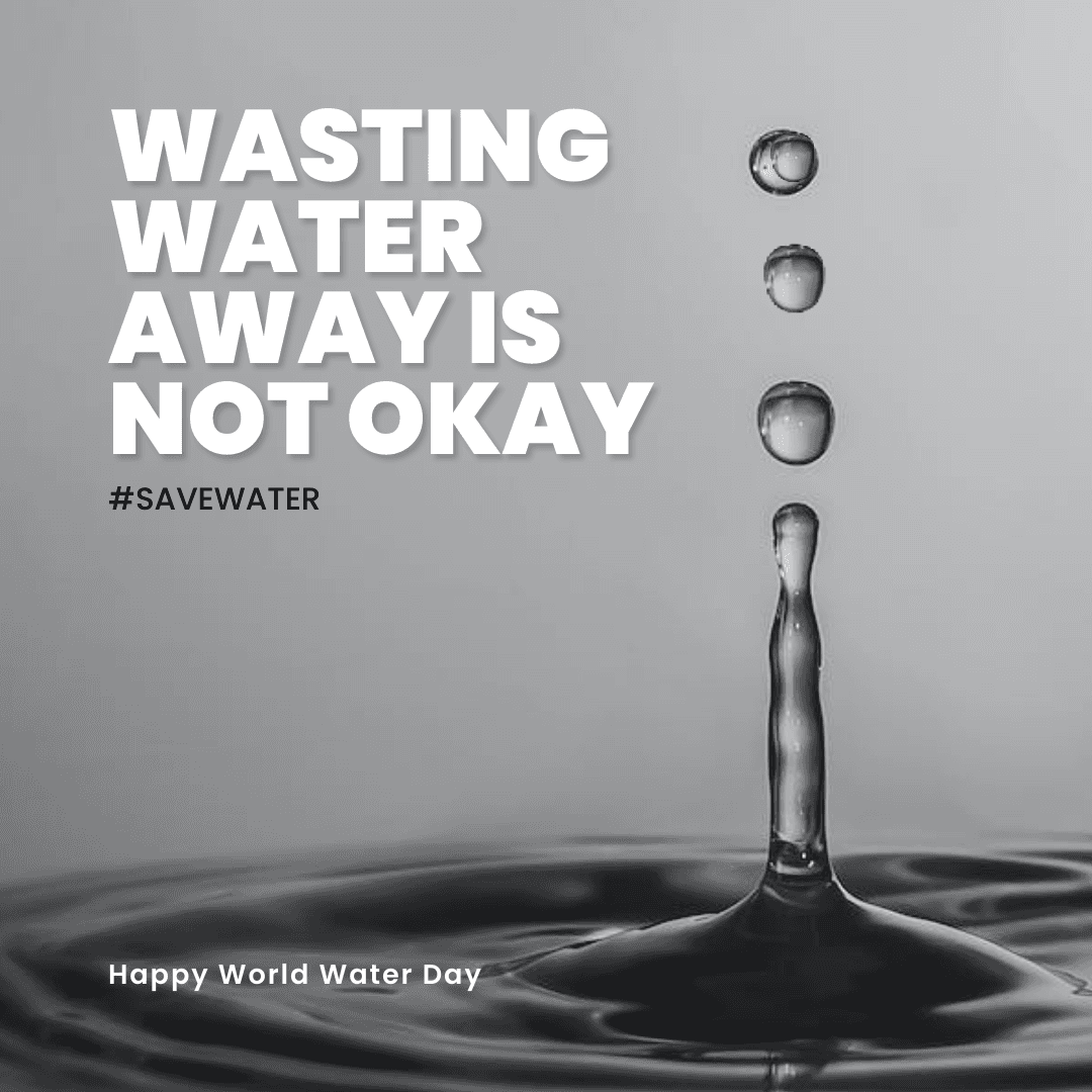 black-and-white-world-water-day-instagram-post-template-thumbnail-img