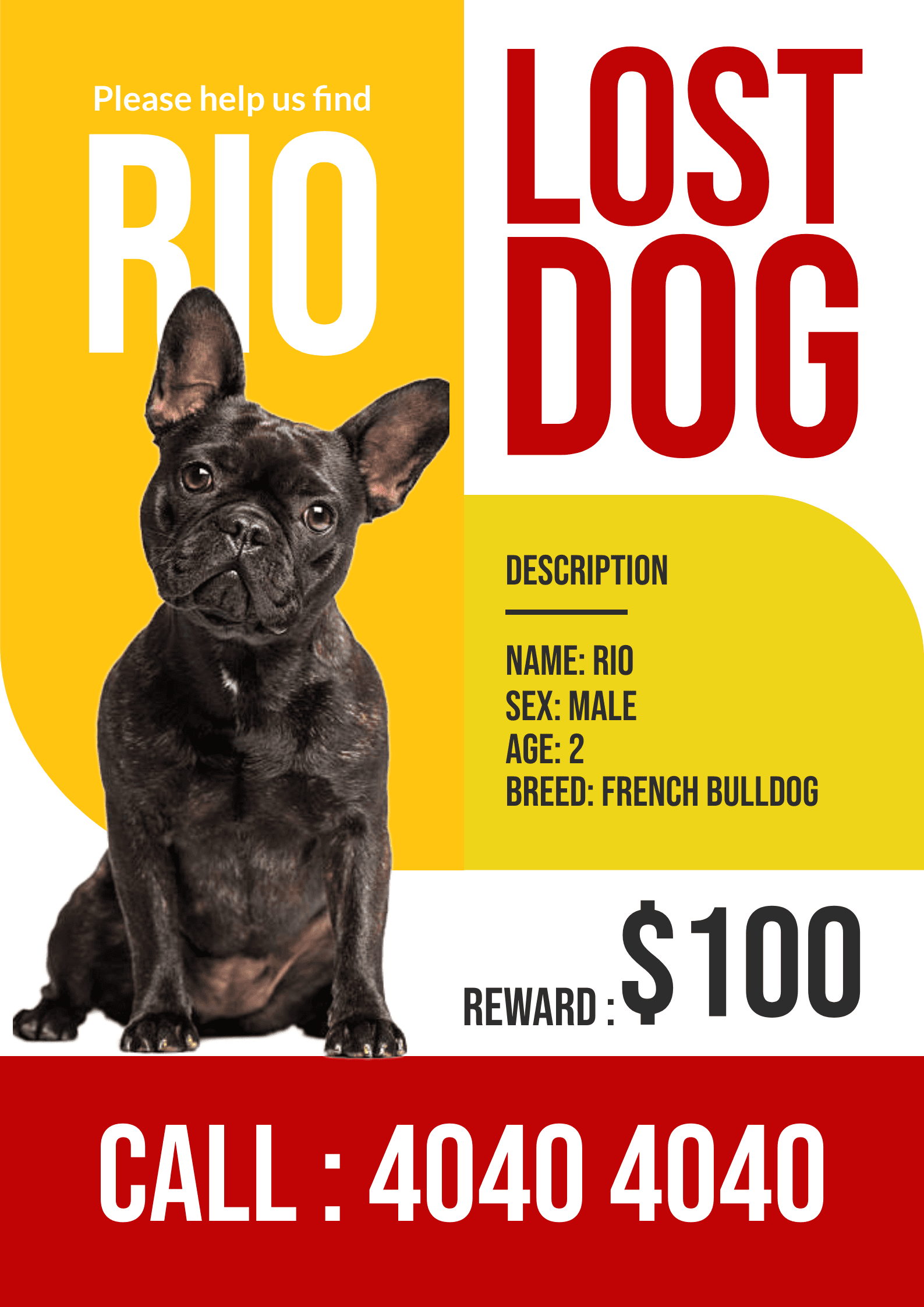 french-bulldog-rio-lost-dog-poster-template-thumbnail-img