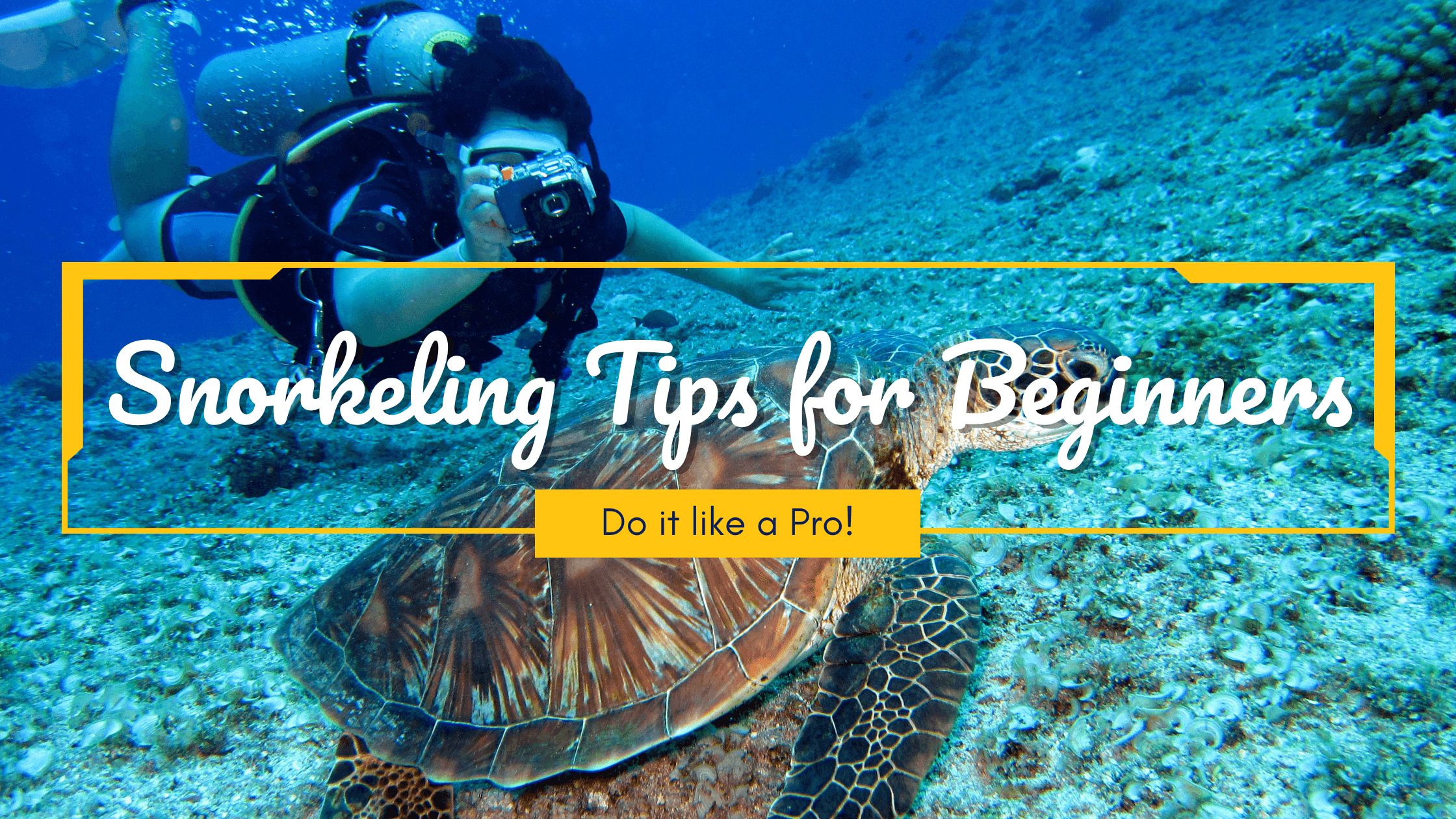snorkeller-photographing-a-turtle-snorkelling-tips-blog-banner-template-thumbnail-img