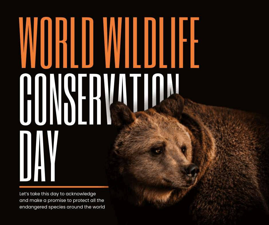 modern-world-wildlife-conservation-day-facebook-post-template-thumbnail-img