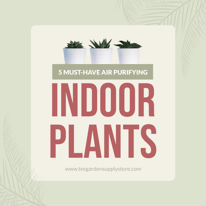 green-illustrated-leaves-must-have-indoor-plants-instagram-carousel-template-thumbnail-img