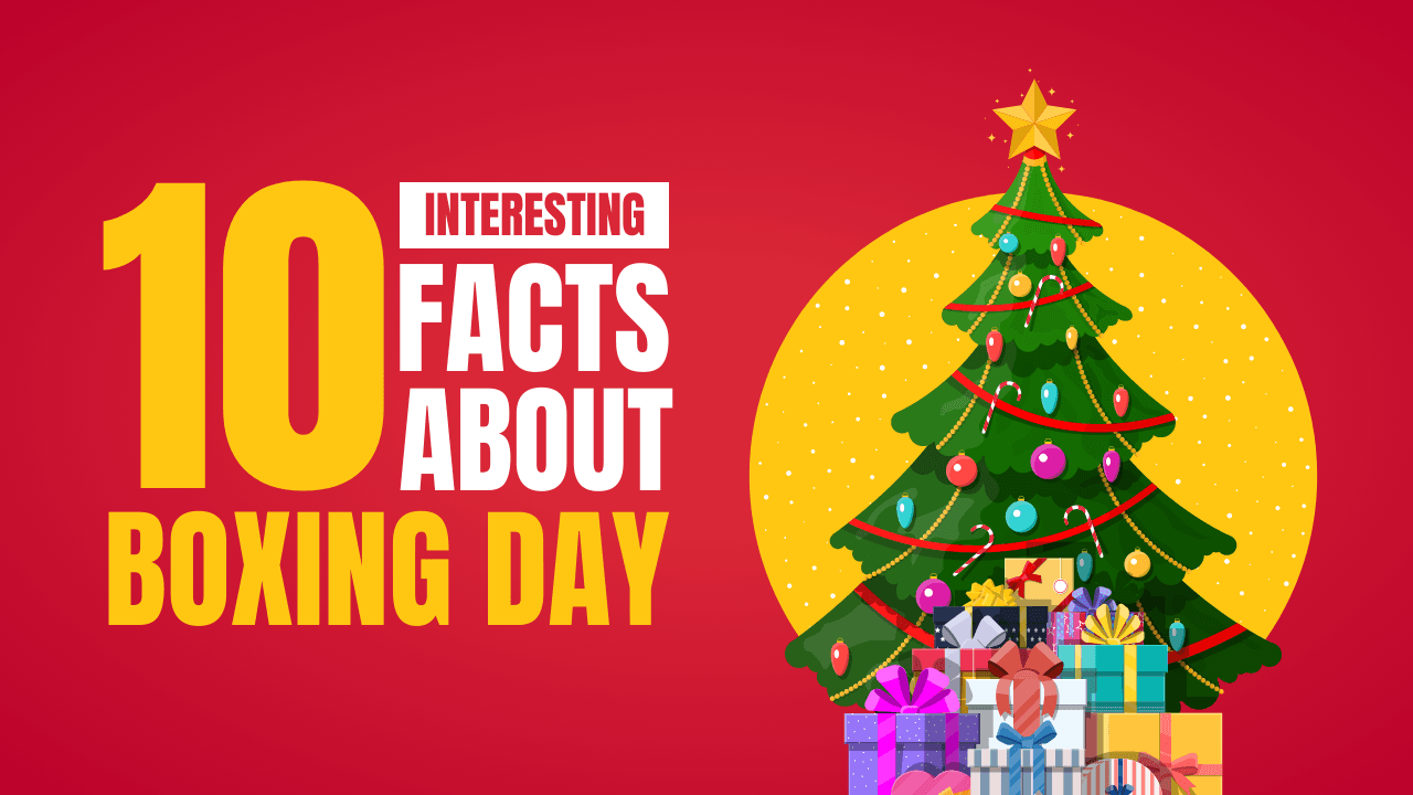 red-facts-about-boxing-day-youtube-thumbnail-thumbnail-img