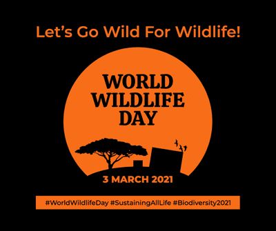 world-wildlife-day-black-and-orange-facebook-post-template-thumbnail-img