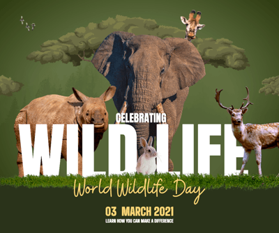 wildlife-conservation-and-celebration-facebook-post-template-thumbnail-img