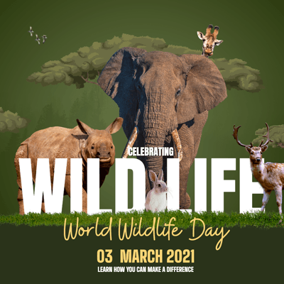 green-background-animals-world-wildlife-day-instagram-post-template-thumbnail-img
